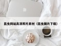 中国澳门昆虫网站高清照片素材（昆虫图片下载）
