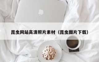 中国澳门昆虫网站高清照片素材（昆虫图片下载）